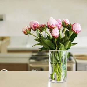 شاخه های گل لاله در آب و روش نگهداری بهتر گل در خانه درون گلدان شیشه ای برای عمر بیشتر با اطلس گل . 