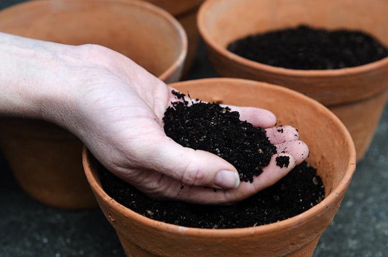 خاک مناسب گل و گیاه باید په ویژگی هایی داشته باشد؟ با آنها اینجا آشنا شوید تا گیاهانتاب بهتر رشد کنند.