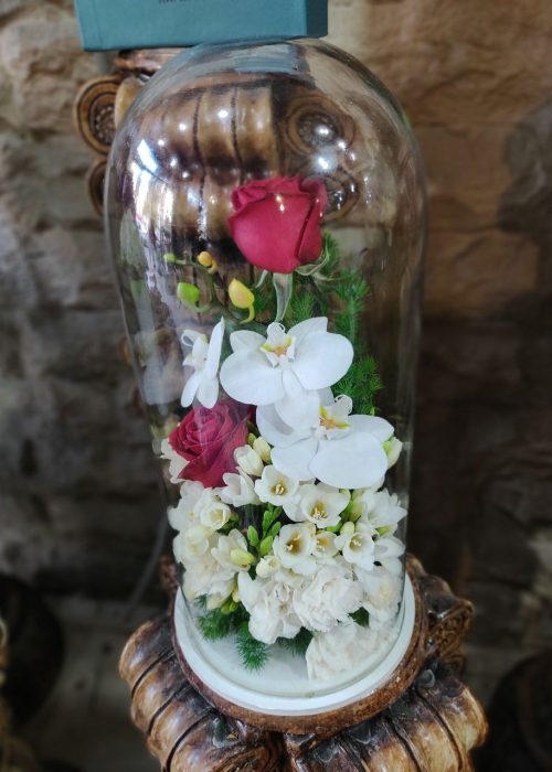 سفارش و خرید آنلاین باکس جامی رز و ارکیده طرح روژینا درون باکس شیشه ای حبابی در اطلس گل شیراز زیبا.