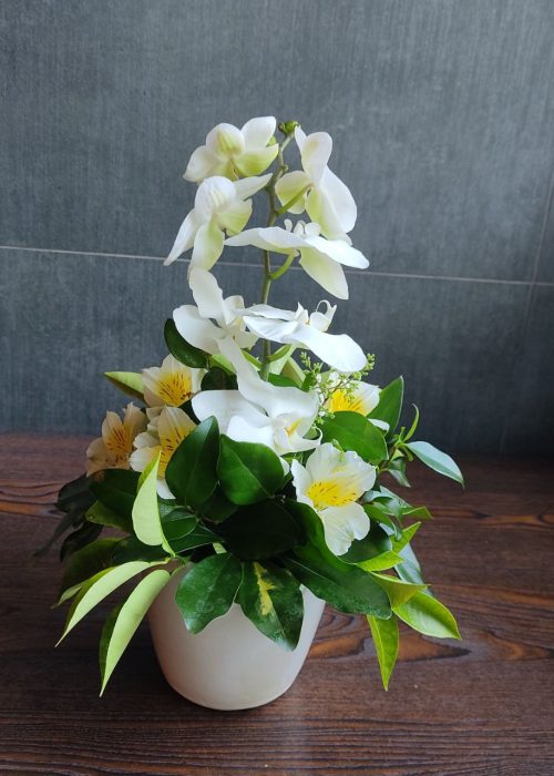 سفارش و خرید آنلاین باکس گل گلدان سرامیک طرح ندا از اطلس گل شیراز .
